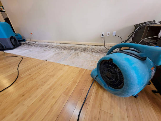 Professional Structural Drying technician working in Pendleton, KY